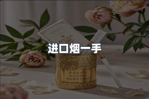 进口烟一手